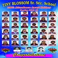 Tiny Blossom results 2016.tif 8x4